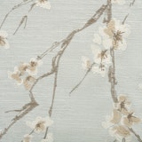 Bloom II