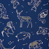 Kids Constellations Blue