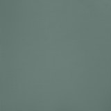 Coniferous